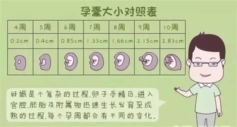 孕囊大小与孕周对照表