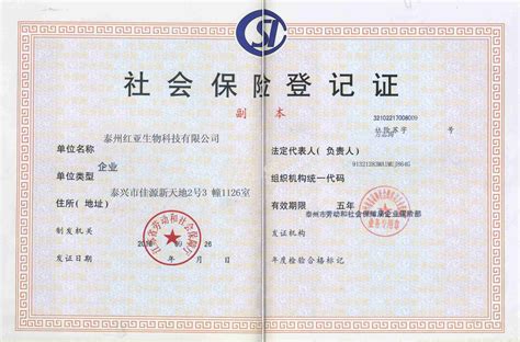 宁波企业社保登记证查询