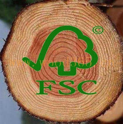 宁波fsc木材认证