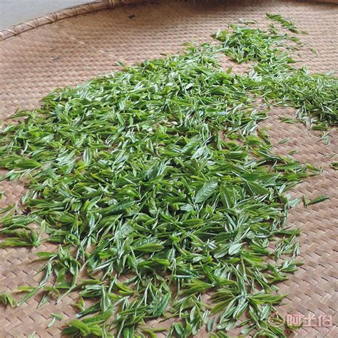 安徽专业的绿茶购销厂家批发价