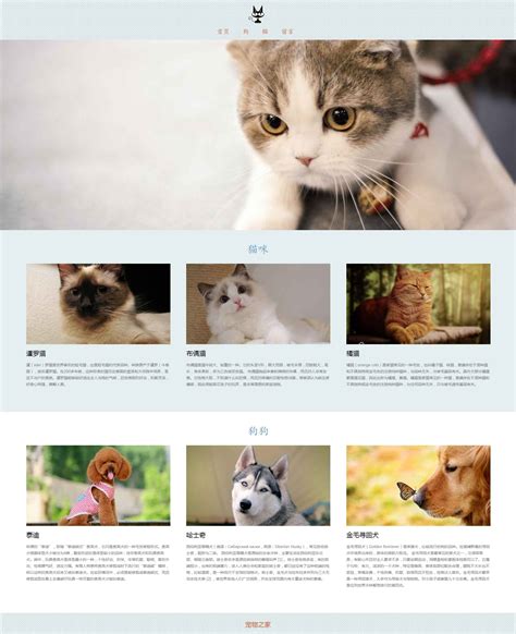 宠物网站网页设计方案
