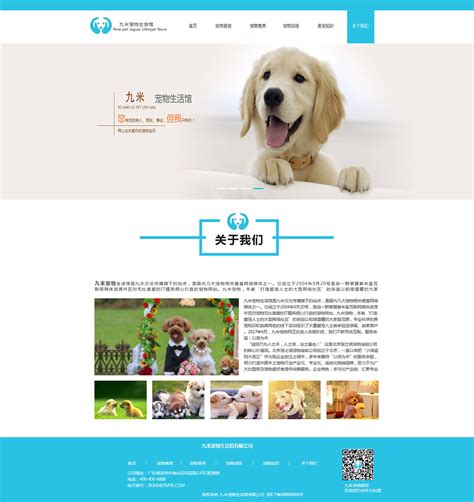 宠物领养网站的设计与实现