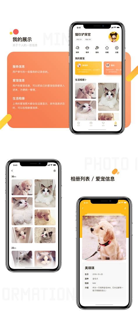 宠物app首页设计