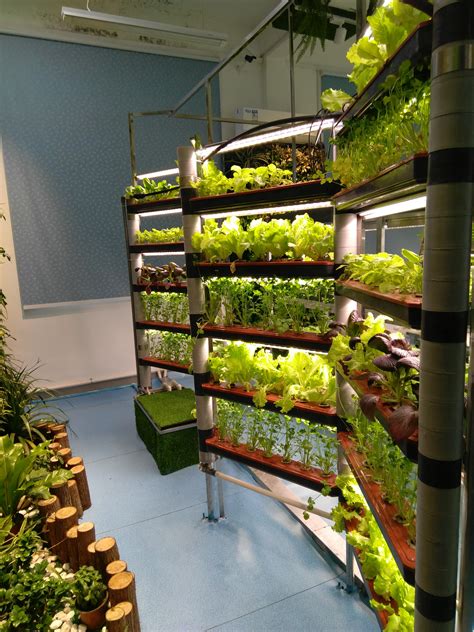 室内种植蔬菜设备