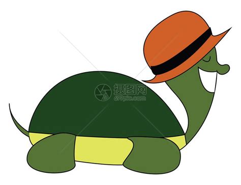小乌龟帽子