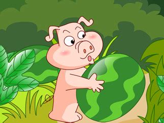 小猪买西瓜的故事