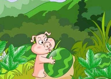 小猪搬西瓜的故事