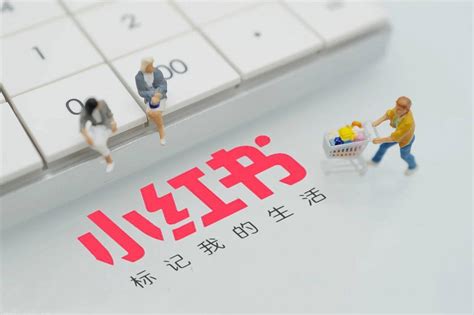 小红书网络推广seo排名优化