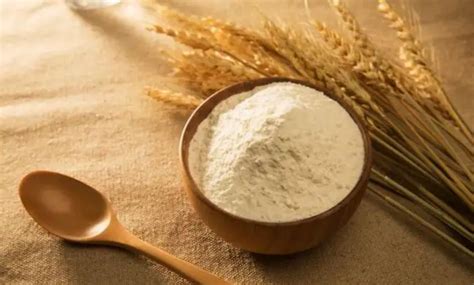 小麦水溶性蛋白是什么
