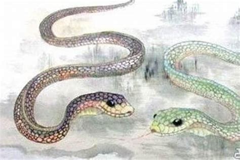 属蛇1929年至今多少岁