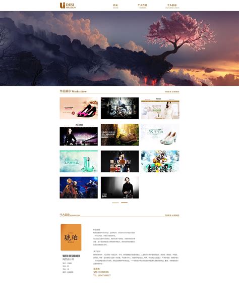 山东个人网站设计