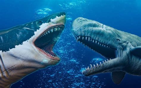 巨齿鲨vs蓝鲸