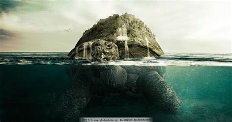 巨龟岛迅雷下载