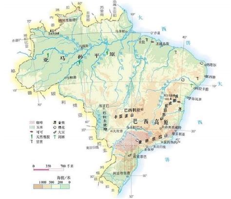 巴西国家的大豆大部分种植在哪