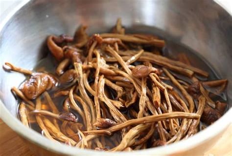 干茶树菇要泡多久才煲汤好喝