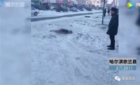 年轻女性冻死街头哈尔滨