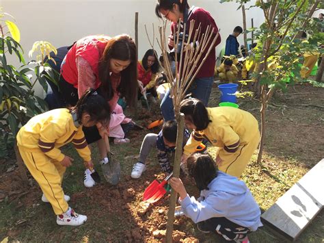 幼儿园的植树节方案