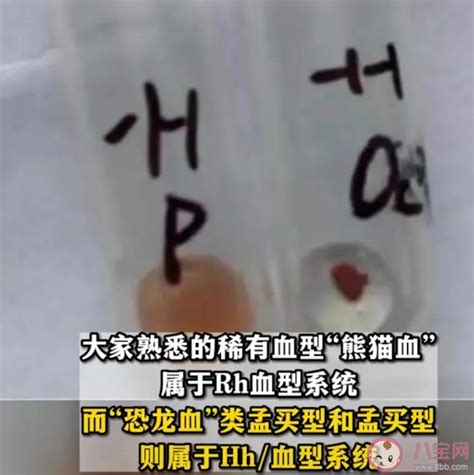 广东检出1例恐龙血是真的吗