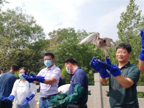 广东省野生动物救护中心