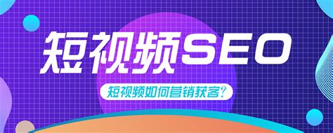 广东短视频seo搜索排名优化系统