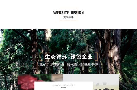 广元企业网站
