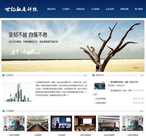 广元网站建设专业团队电话