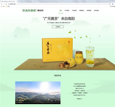广元网站开发案例