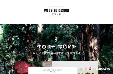 广元营销网站建设
