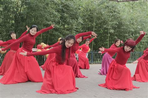 广场舞梦西藏教学