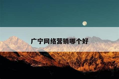 广宁网站推广营销