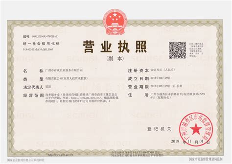 广州企业营业执照代办的条件