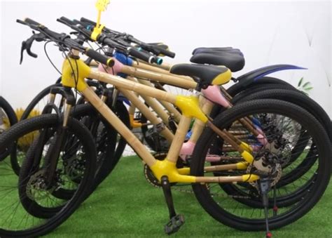 广西小伙用竹子造单车已售上万辆