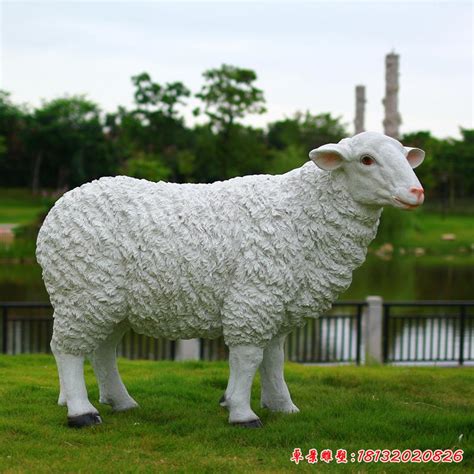广西玻璃钢小羊动物雕塑艺术摆件