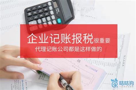 徐州小型企业记账报税