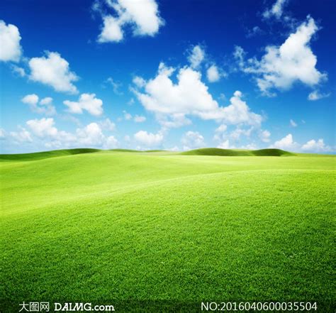 微信头像图片绿草蓝天