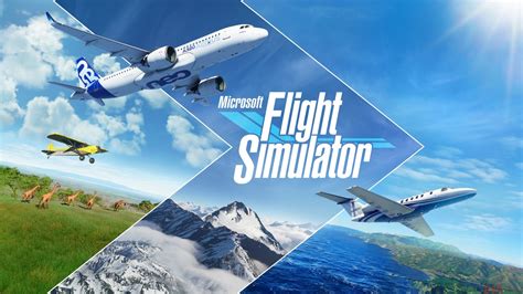 微软模拟飞行12