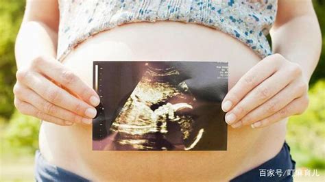 怀孕11周胎停几率多大