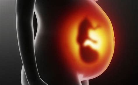 怀孕16周为什么会胎停了