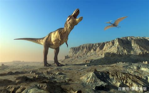 恐龙世纪的照片