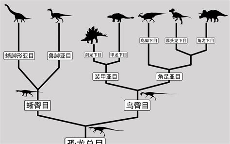 恐龙分类