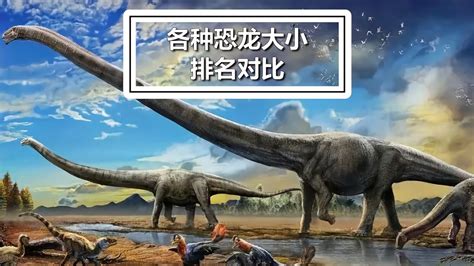 恐龙和人的大小对比