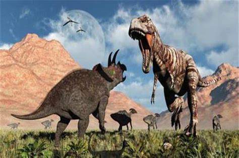 恐龙多少岁开始繁殖