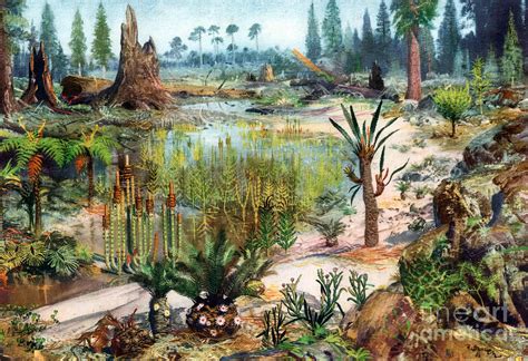 恐龙时代的植物很大吗