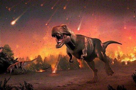 恐龙灭绝哪个世纪