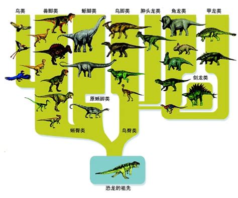 恐龙的发现史