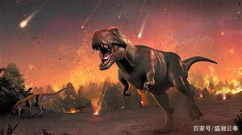 恐龙的灭绝是因为什么