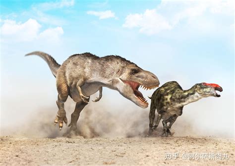 恐龙的灭绝有哪些可能