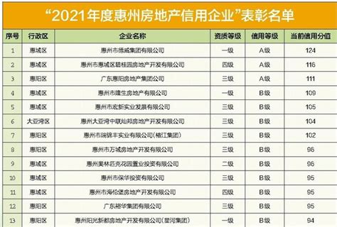 惠州最大本土企业排名