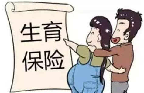 惠州社保查询显示生育保险接入中