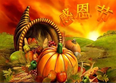 感恩节是中国的节日吗